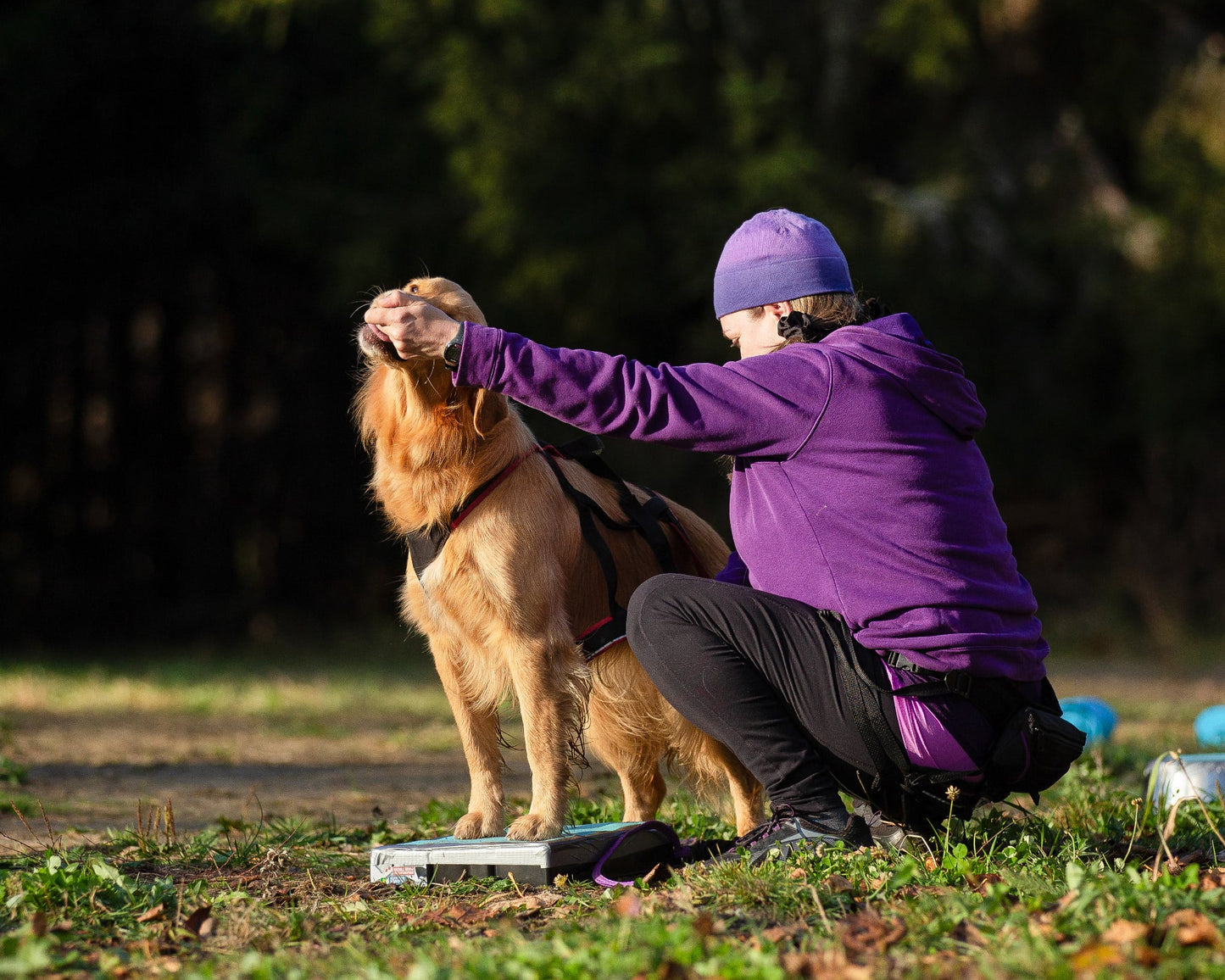 Introduction au Fitness canin - Stéphanie Gagnon