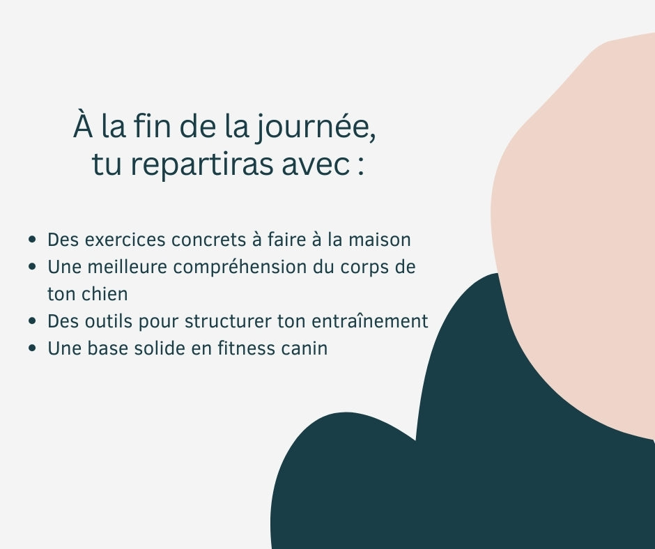 Séminaire Introduction au Fitness canin - Stéphanie Gagnon
