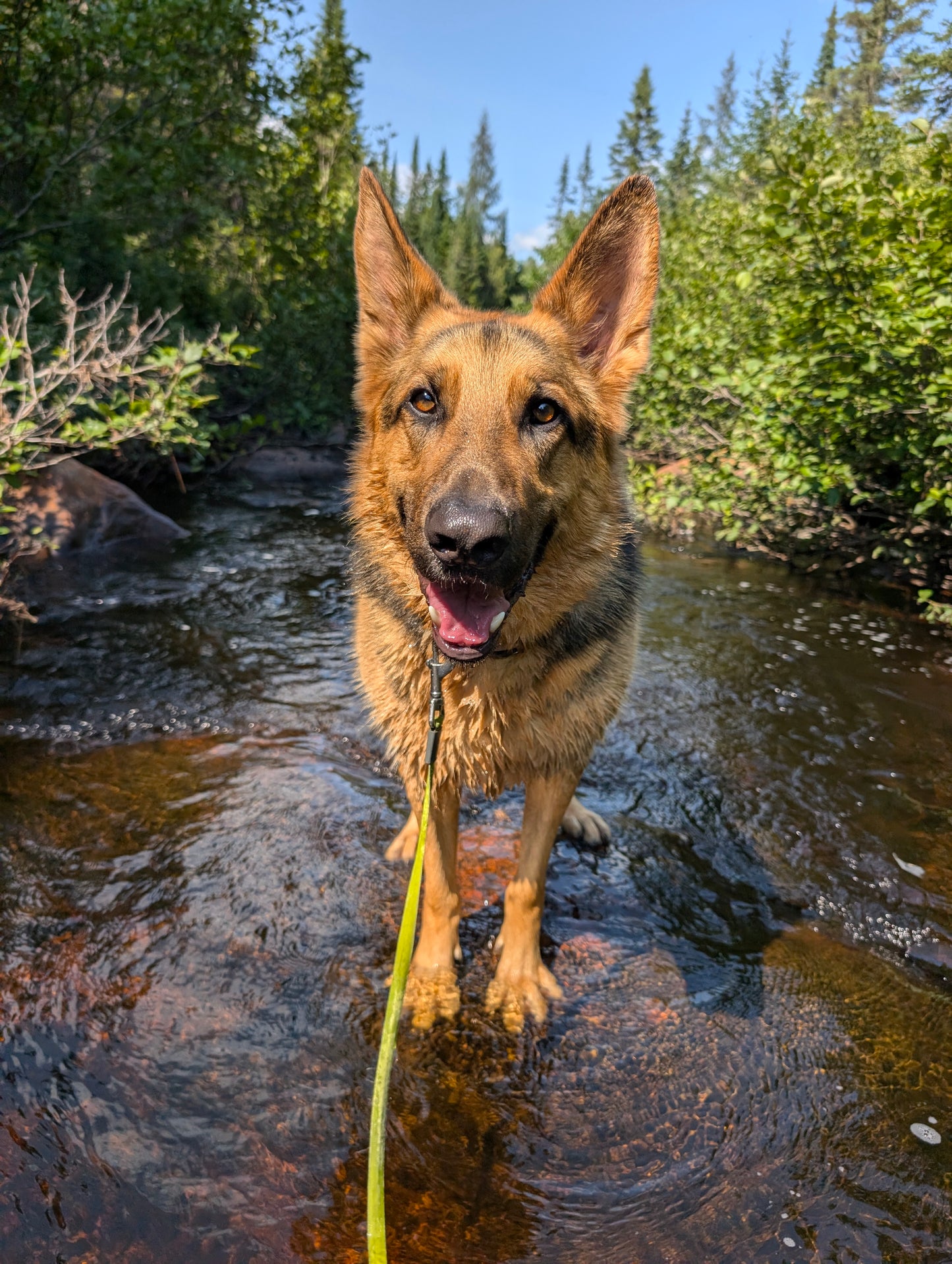 Baignade à la rivière