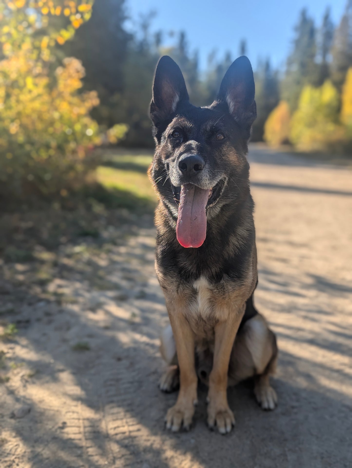 Séjour d'évaluation