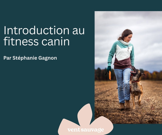 Séminaire Introduction au Fitness canin - Stéphanie Gagnon