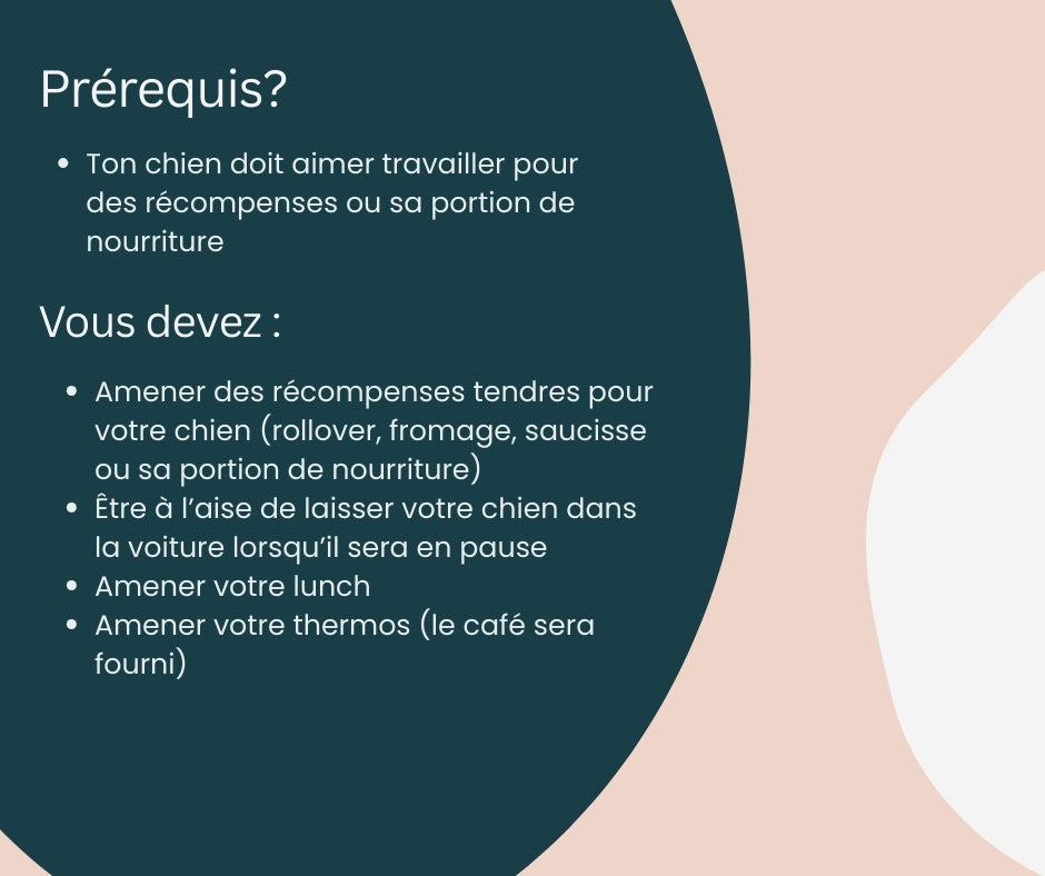 Séminaire Introduction au Fitness canin - Stéphanie Gagnon