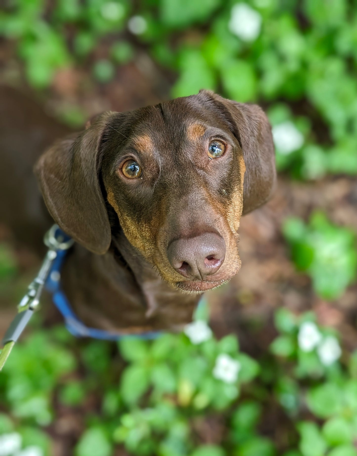 Demi-journée départ avant 13h