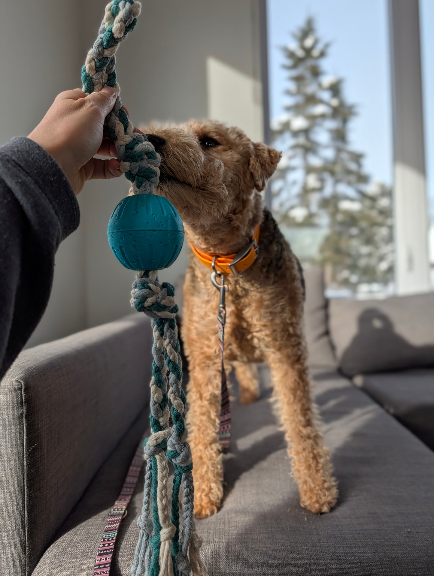 Corde, tug, balle - Sierra Gear