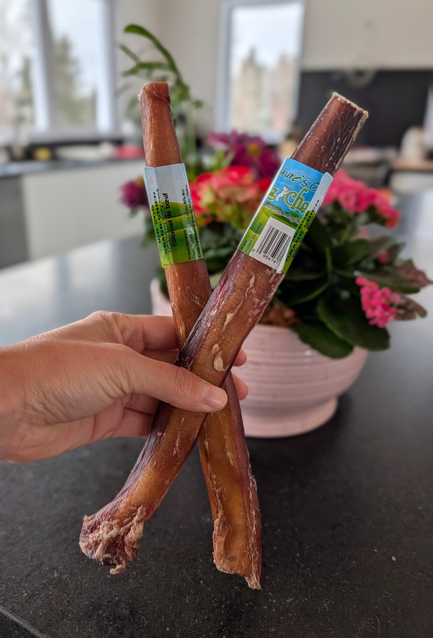 Big dog bully stick de boeuf 12'' (les plus gros)