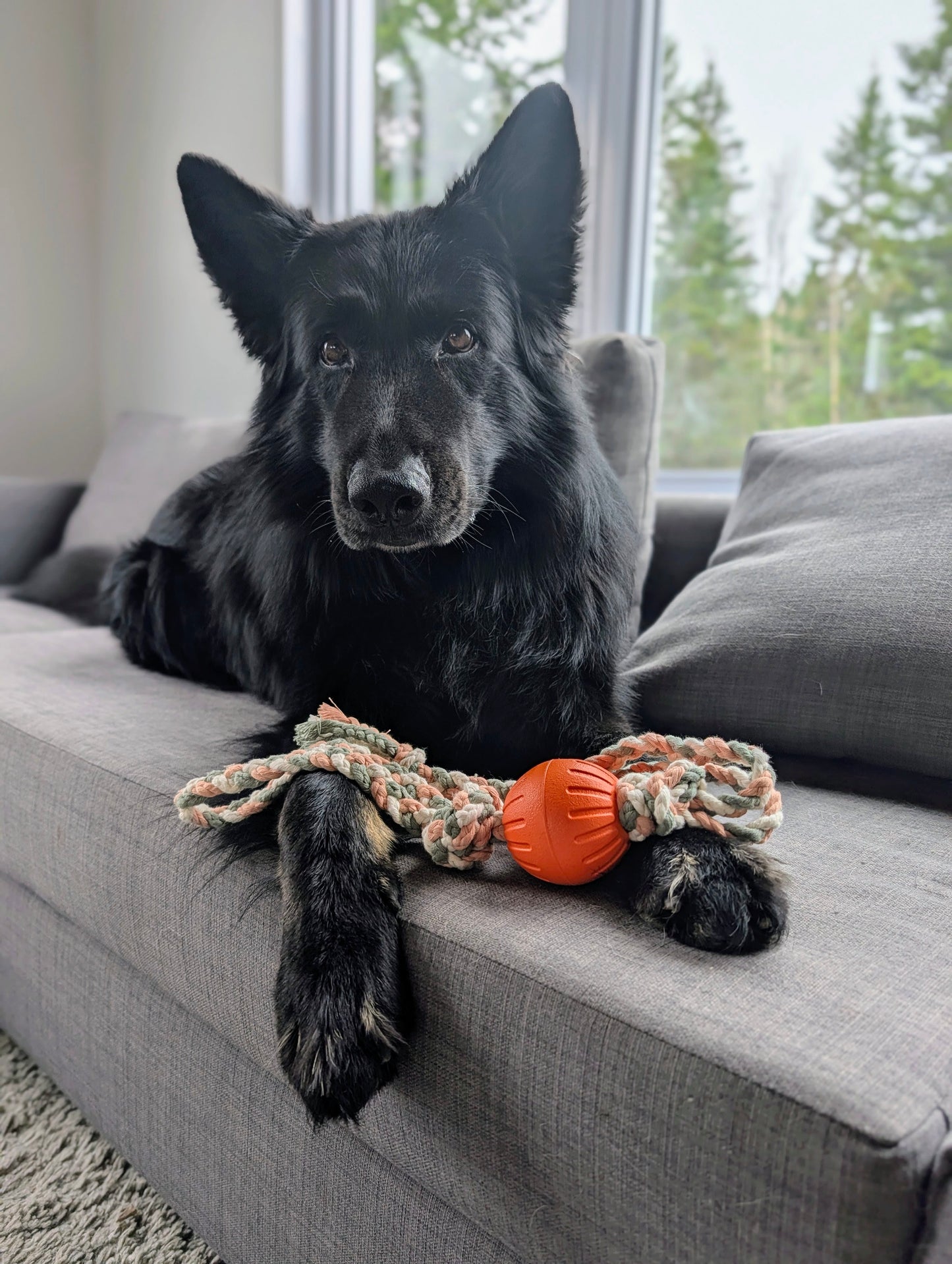 Corde, tug, balle - Sierra Gear